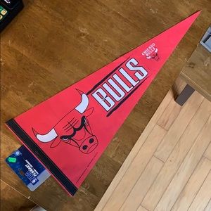 Chicago Bulls Pennant (Last Dance Style)